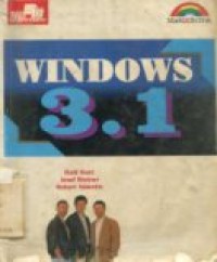 WINDOWS 3.1