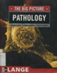 THE BIG PICTURE PATHOLOGY